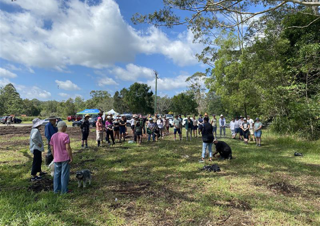 Volunteers at the tree planting working bee.